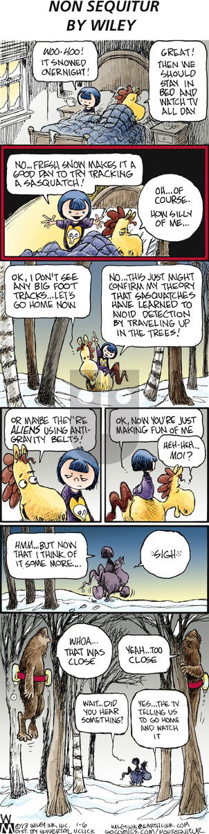 Non Sequitur on Sunday January 6, 2013 Comic Strip