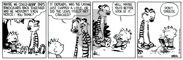 Calvin and Hobbes on Friday May 20, 1988 Comic Strip