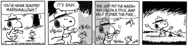 Peanuts - Saturday June 6, 1987 Comic Strip