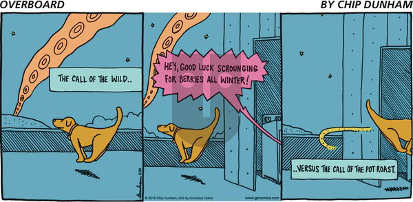 Overboard on Sunday November 20, 2016 Comic Strip