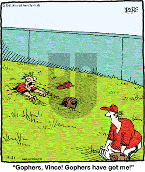 In the Bleachers - Saturday July 21, 2001 Comic Strip