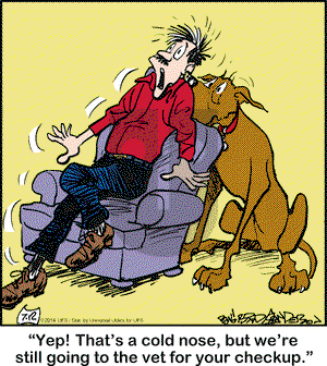 Marmaduke on Saturday July 12, 2014 Comic Strip