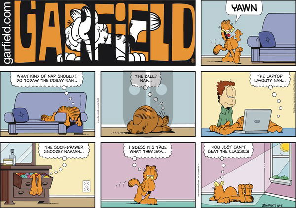 Garfield on Sunday October 6, 2019 Comic Strip