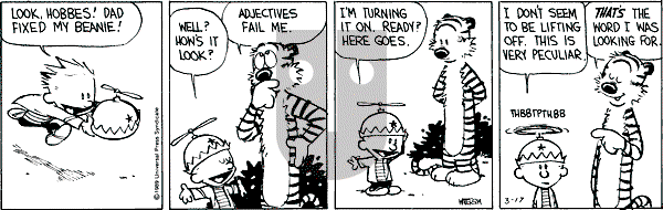 Calvin and Hobbes - Friday March 17, 1989 Comic Strip