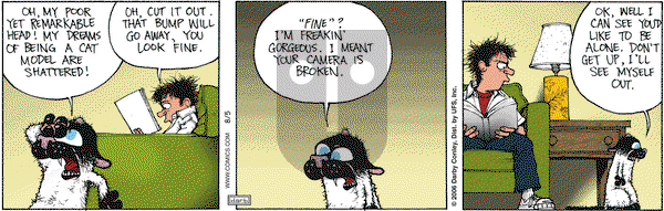Get Fuzzy on Saturday August 5, 2006 Comic Strip