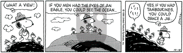 Peanuts on Wednesday October 18, 1995 Comic Strip