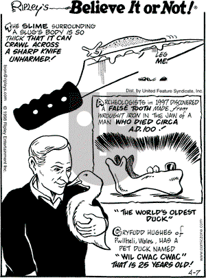 Ripley's Believe It or Not on Tuesday April 7, 1998 Comic Strip