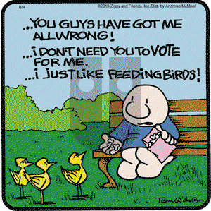 Ziggy on Saturday August 4, 2018 Comic Strip