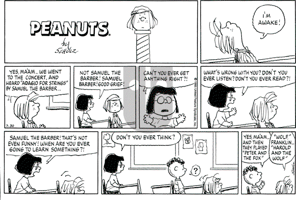 Peanuts - Sunday July 30, 1995 Comic Strip