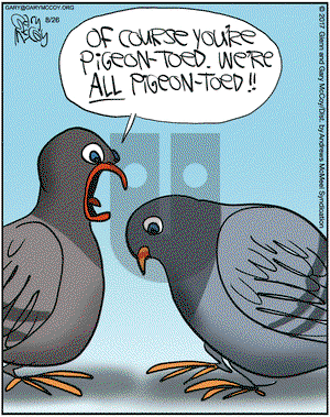The Flying McCoys on Saturday August 26, 2017 Comic Strip
