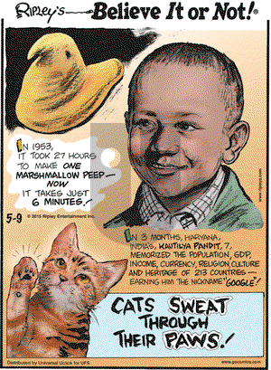 Ripley's Believe It or Not on Saturday May 9, 2015 Comic Strip