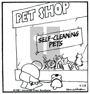 Ziggy on Tuesday April 28, 1981 Comic Strip