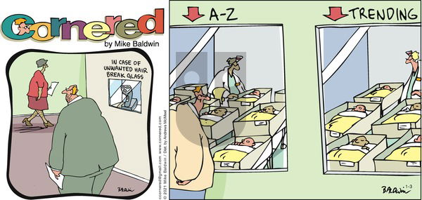 Cornered on Sunday January 3, 2021 Comic Strip