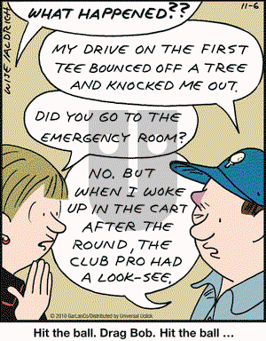 Real Life Adventures on Saturday November 6, 2010 Comic Strip