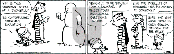 Calvin and Hobbes - Friday January 22, 1993 Comic Strip