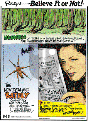 Ripley's Believe It or Not on Tuesday June 18, 2013 Comic Strip