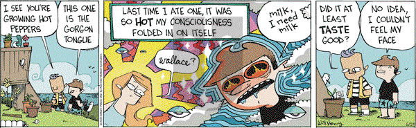 Wallace the Brave on Saturday May 31, 2025 Comic Strip