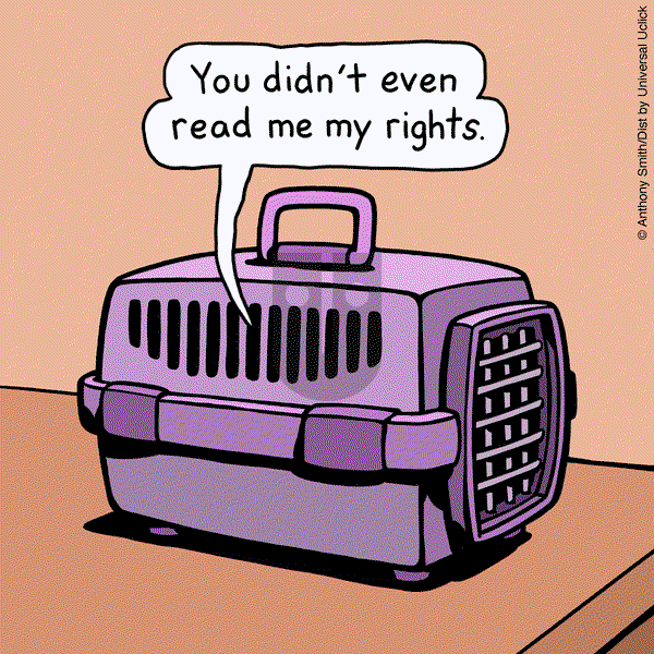 Cattitude — Doggonit - Monday May 27, 2024 Comic Strip