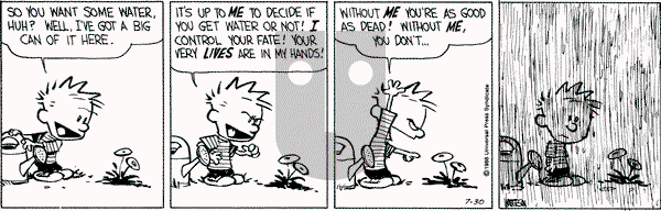 Calvin and Hobbes - Saturday July 30, 1988 Comic Strip
