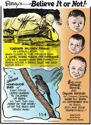 Ripley's Believe It or Not on Monday November 4, 2013 Comic Strip