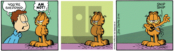 Garfield on Tuesday February 14, 1995 Comic Strip