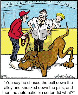 Marmaduke on Wednesday February 22, 2012 Comic Strip