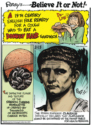 Ripley's Believe It or Not on Saturday February 15, 2014 Comic Strip