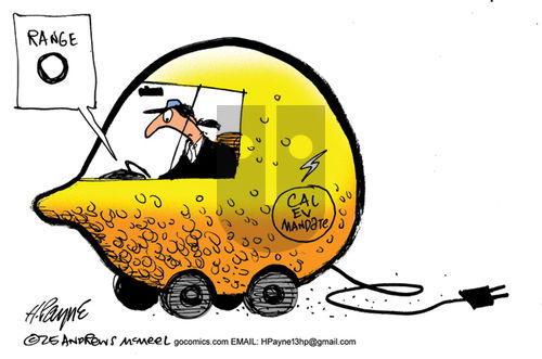 Henry Payne on Wednesday May 28, 2025 Comic Strip