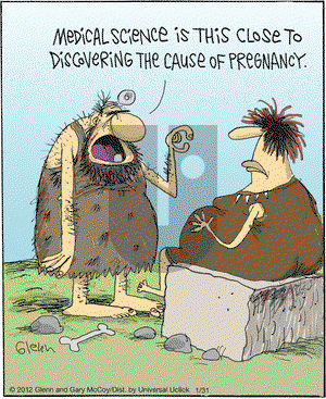 The Flying McCoys on Tuesday January 31, 2012 Comic Strip
