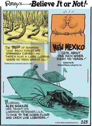 Ripley's Believe It or Not on Thursday February 25, 2016 Comic Strip