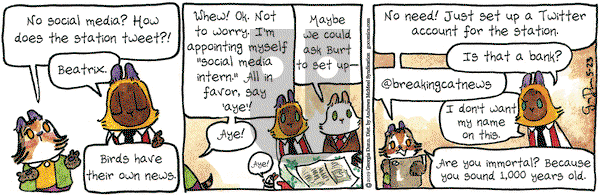 Breaking Cat News on Thursday May 23, 2019 Comic Strip