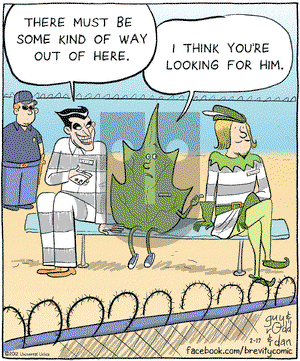 Brevity - Friday February 17, 2012 Comic Strip