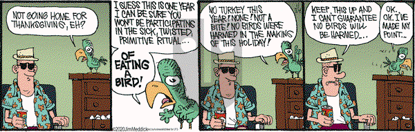 Monty on Tuesday November 24, 2020 Comic Strip