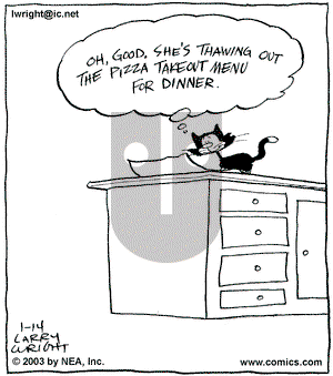 Kit 'N' Carlyle on Tuesday January 14, 2003 Comic Strip