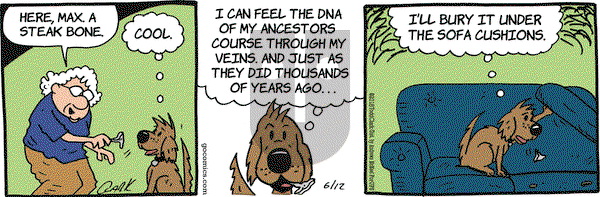 Lola on Tuesday June 12, 2018 Comic Strip