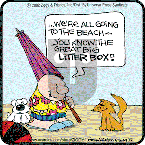 Ziggy on Friday August 16, 2002 Comic Strip