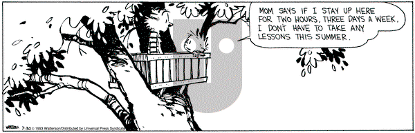 Calvin and Hobbes on Friday July 30, 1993 Comic Strip