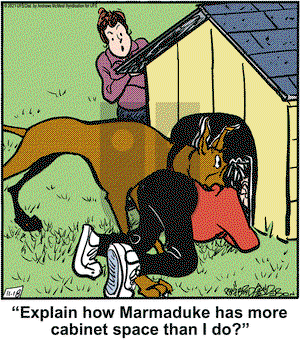 Marmaduke on Thursday November 18, 2021 Comic Strip