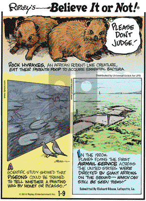 Ripley's Believe It or Not on Thursday January 9, 2014 Comic Strip