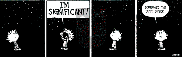 Calvin and Hobbes - Thursday October 14, 1993 Comic Strip