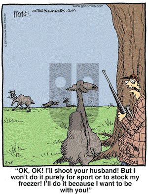 In the Bleachers on Sunday March 18, 2007 Comic Strip