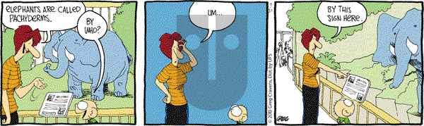 The Buckets on Saturday July 31, 2010 Comic Strip