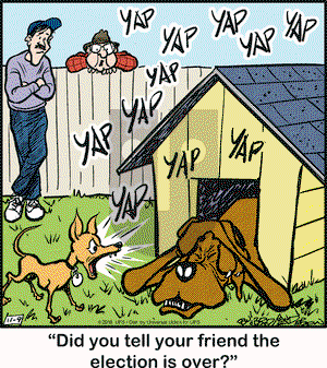 Marmaduke - Wednesday November 9, 2016 Comic Strip