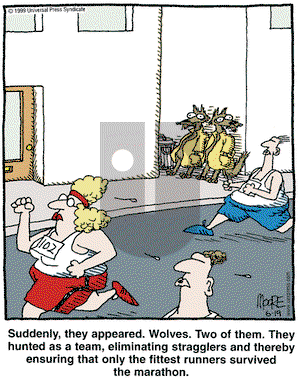 In the Bleachers on Saturday June 19, 1999 Comic Strip