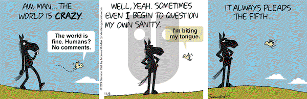 Dark Side of the Horse - Wednesday November 6, 2024 Comic Strip