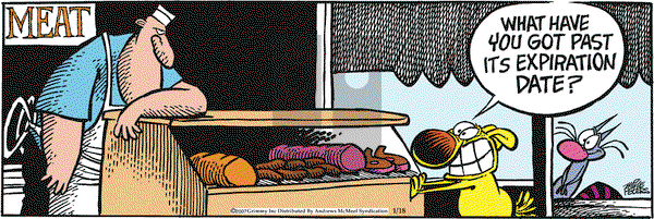 Mother Goose and Grimm - Saturday January 18, 2025 Comic Strip