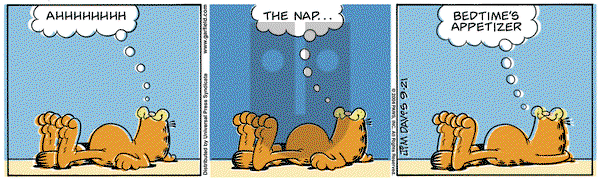 Garfield on Tuesday November 9, 2004 Comic Strip