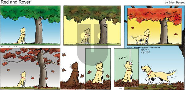Red and Rover on Sunday October 15, 2017 Comic Strip