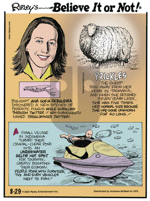 Ripley's Believe It or Not on Saturday August 29, 2020 Comic Strip