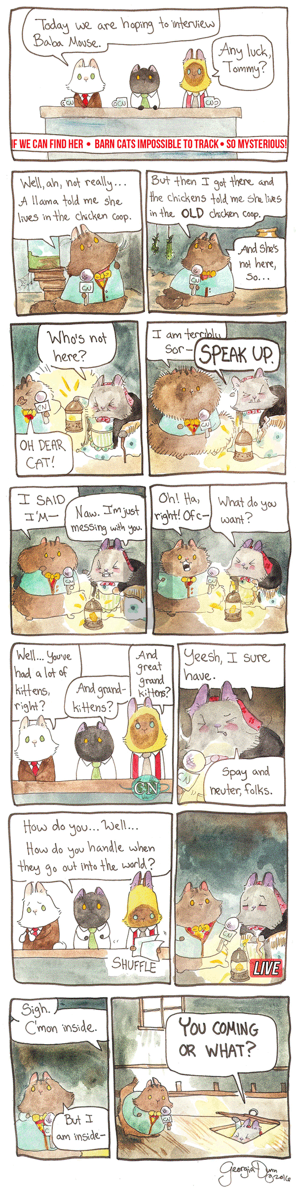 Breaking Cat News on Monday May 23, 2016 Comic Strip